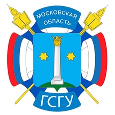 230х230 ГСГУ .jpg